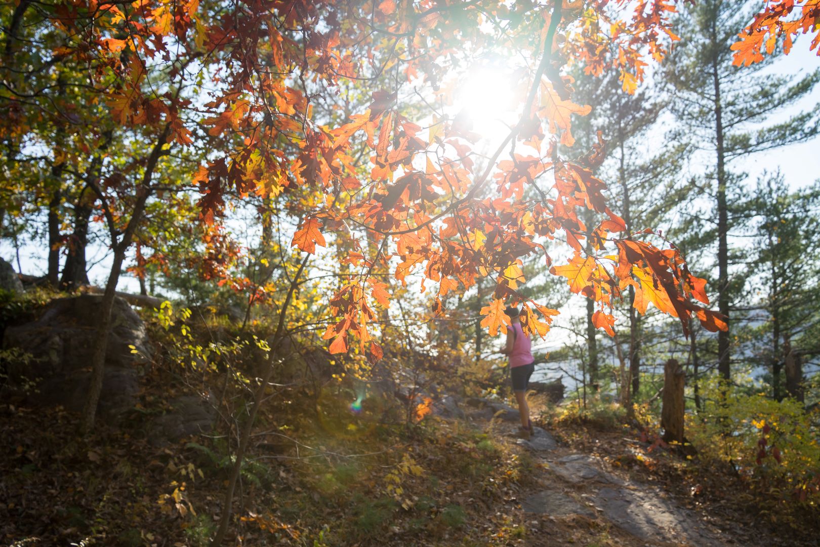 Devils Lake afternoon sun through the trees